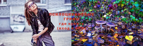 стаф Слюдянка