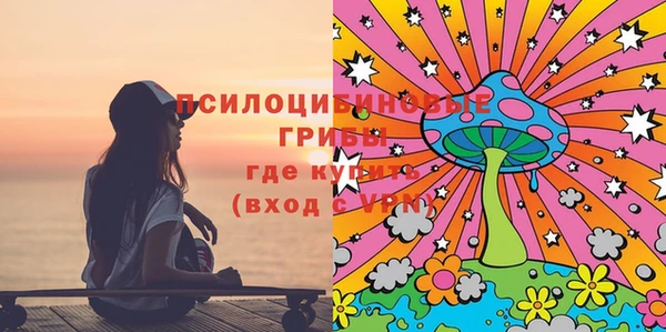 стаф Слюдянка