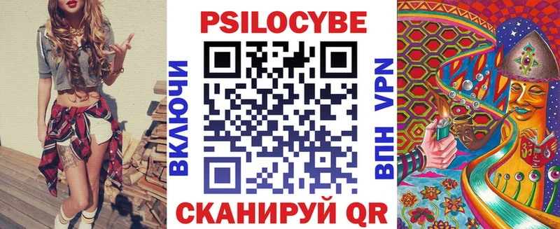 где купить   Лесной  Галлюциногенные грибы Cubensis 
